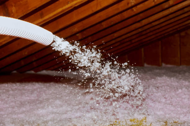 Best Insulation for New Construction  in Balfour, NC
