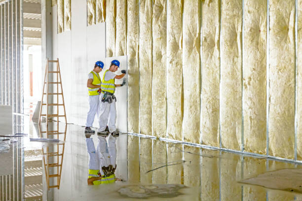 Best Energy-efficient Insulation  in Balfour, NC